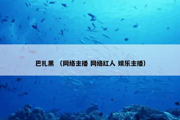 巴扎黑 （网络主播 网络红人 娱乐主播）