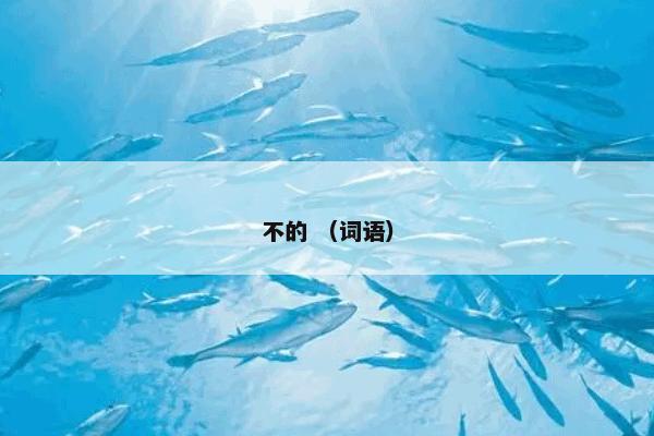 重阳节 （文化 非物质文化遗产 民俗 文化节日）