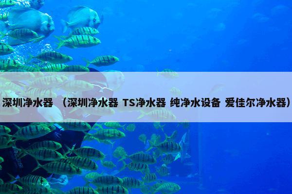 大成灵活配置混合型证券投资基金 （社会）