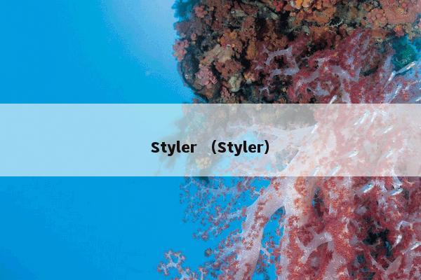 Styler （Styler）