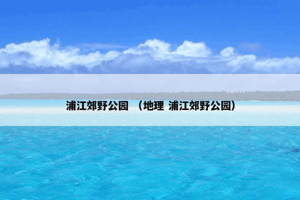 黄大年 （科学家 人物 地理学家 科学）