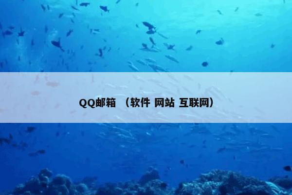 QQ邮箱 （软件 网站 互联网）