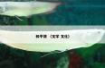  浙江省台州市中级人民法院是什么意思？浙江省台州市中级人民法院属于（机构）