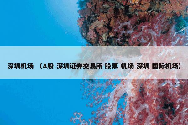 罗尔定理 （科学百科数理科学分类 科学 学科 数学）