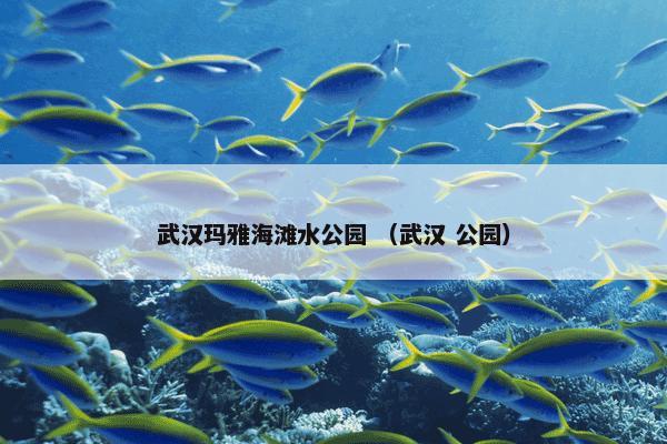 武汉玛雅海滩水公园 （武汉 公园）