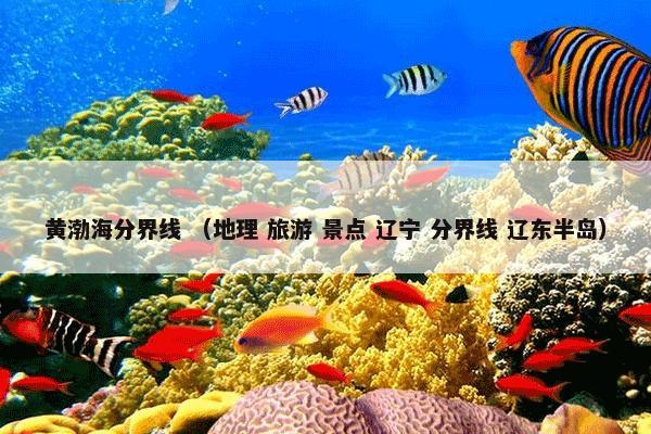 黄渤海分界线 （地理 旅游 景点 辽宁 分界线 辽东半岛）