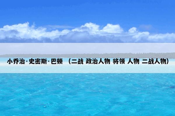 小乔治·史密斯·巴顿 （二战 政治人物 将领 人物 二战人物）