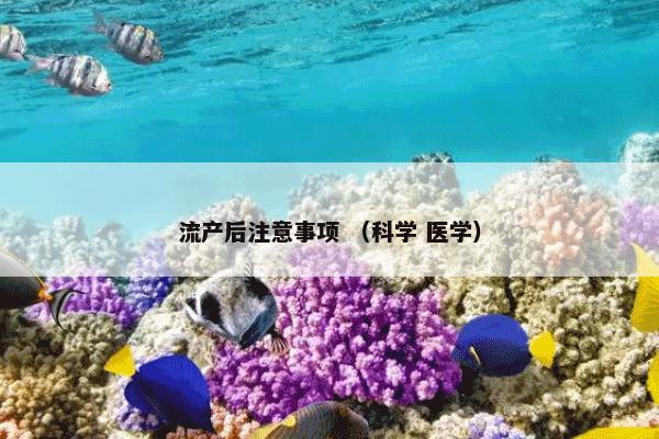 流产后注意事项 （科学 医学）