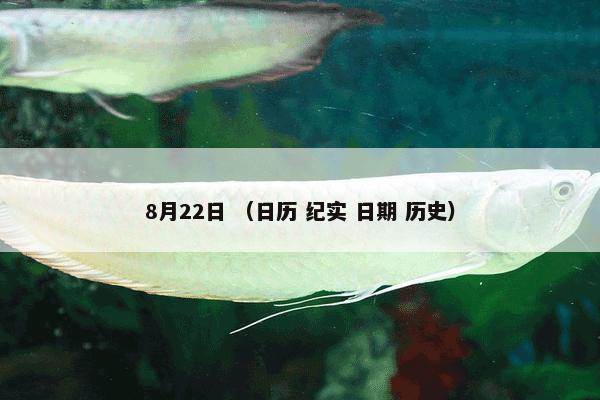 8月22日 （日历 纪实 日期 历史）