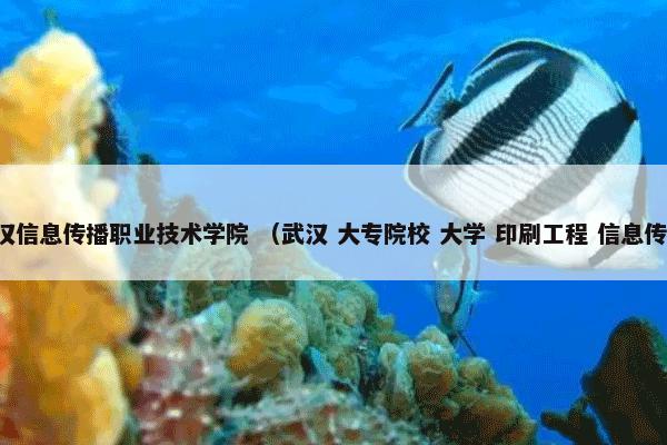 武汉信息传播职业技术学院 （武汉 大专院校 大学 印刷工程 信息传播）