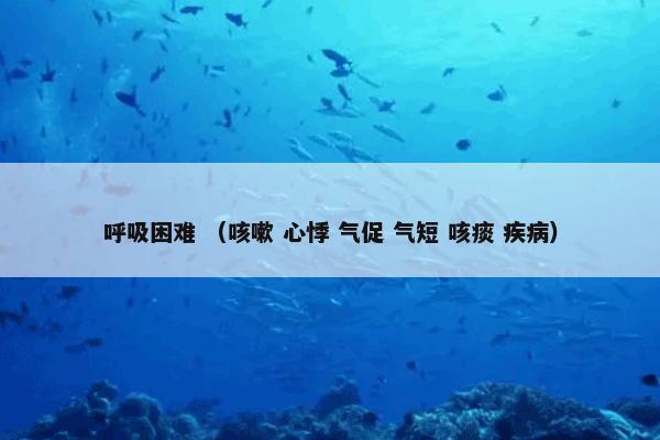 呼吸困难 （咳嗽 心悸 气促 气短 咳痰 疾病）