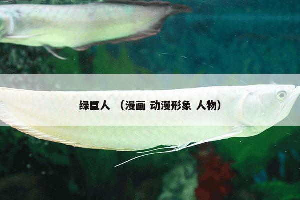 二氧化锆烤瓷牙 （烤瓷牙 生物材料）