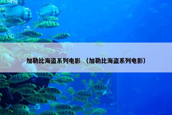 加勒比海盗系列电影 （加勒比海盗系列电影）