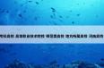  信阳职业技术学院是什么意思？相关信阳职业技术学院一起来了解