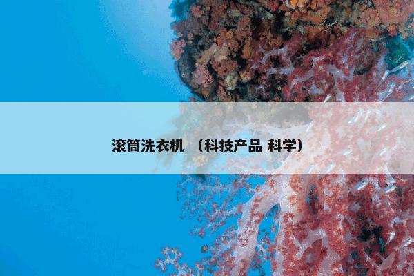 滚筒洗衣机 （科技产品 科学）