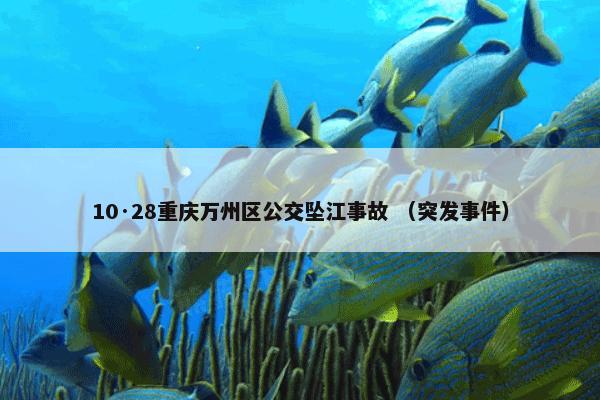 10·28重庆万州区公交坠江事故 （突发事件）