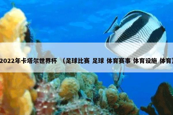 海滩清理垃圾 （网页游戏）