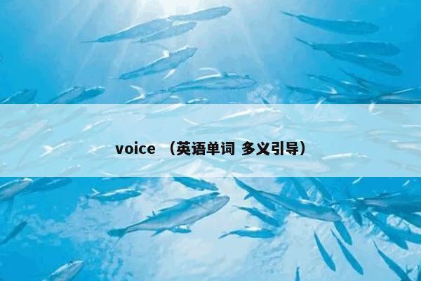 voice （英语单词 多义引导）