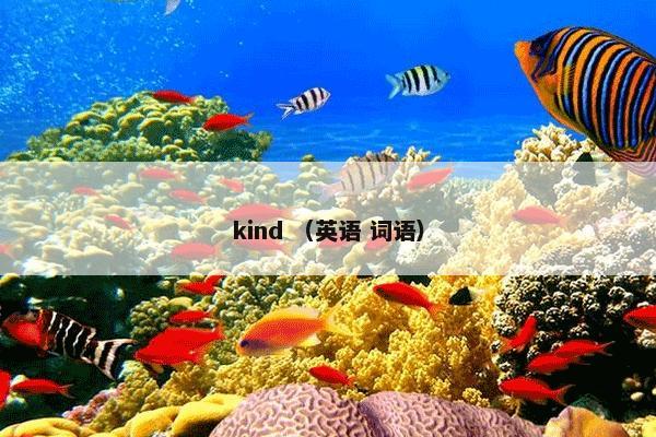 kind （英语 词语）