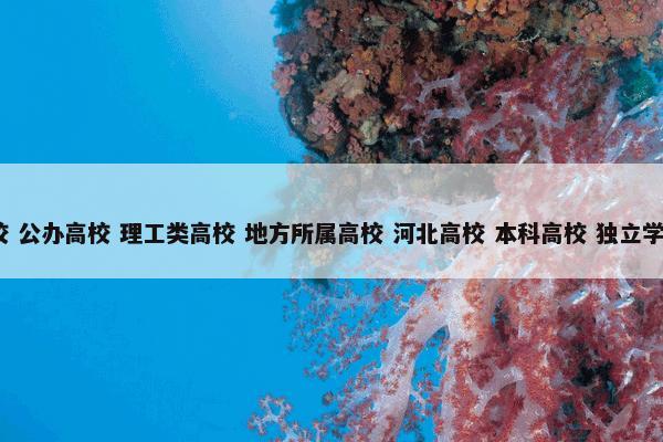 河北工程大学科信学院 （中国高校 公办高校 理工类高校 地方所属高校 河北高校 本科高校 独立学院 大学 组织机构 学校 中国大学）