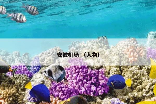 西安海洋公园 （西安 海洋 科普）