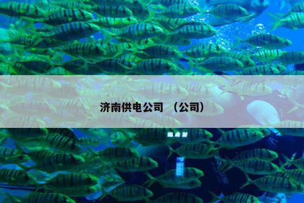 济南供电公司 （公司）