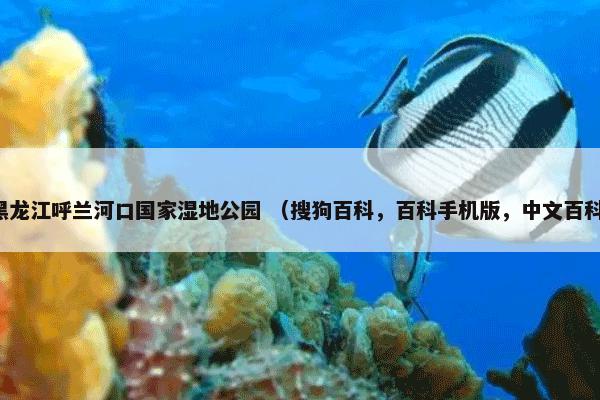 黑龙江呼兰河口国家湿地公园 （搜狗百科，百科手机版，中文百科）