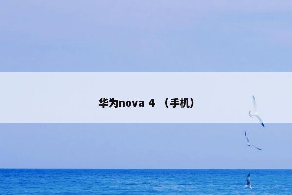 华为nova 4 （手机）