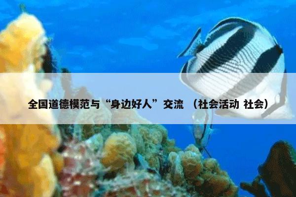 鼻塞 （科学百科疾病症状分类 生活术语 生活）