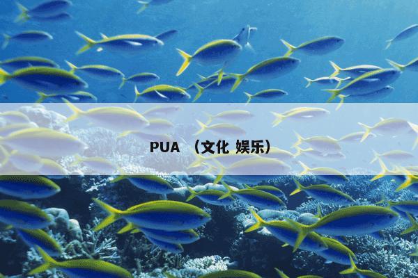 PUA （文化 娱乐）