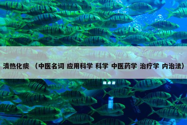 清热化痰 （中医名词 应用科学 科学 中医药学 治疗学 内治法）