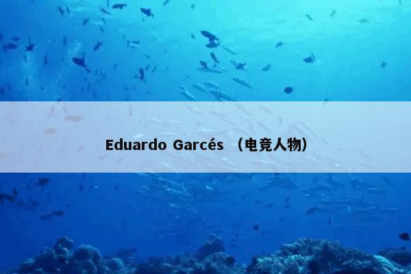 Eduardo Garcés （电竞人物）