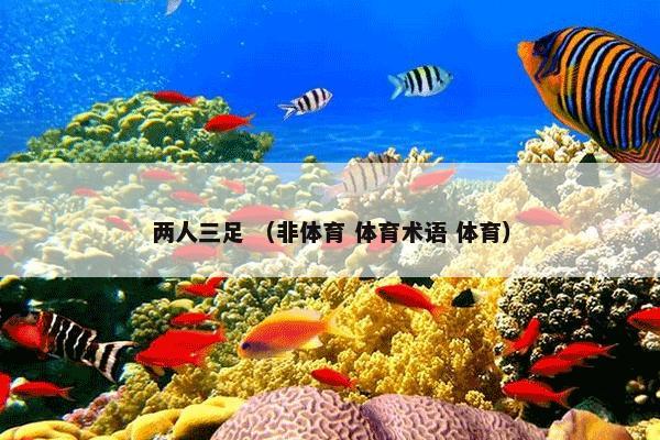 守卫者浮出水面 （电视剧 大陆剧）