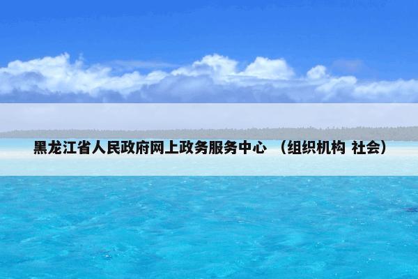 黑龙江省人民政府网上政务服务中心 （组织机构 社会）