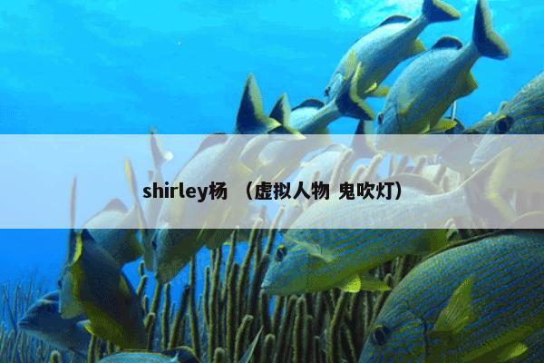 shirley杨 （虚拟人物 鬼吹灯）