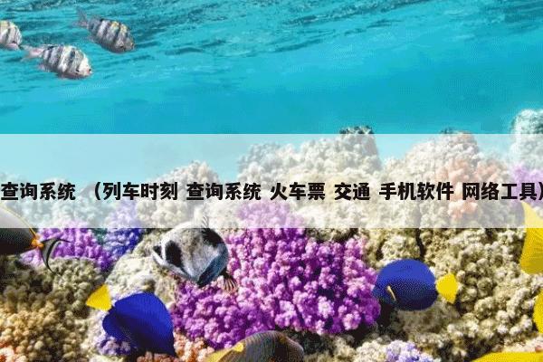 民生信用卡 （经济 科技产品）