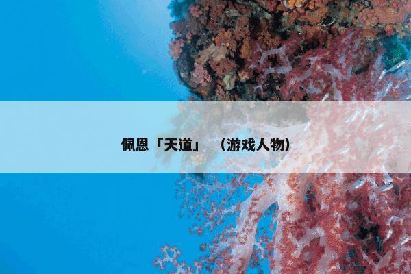 纯正新疆炒米粉 （生活）