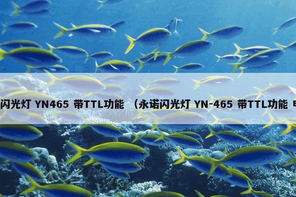 永诺闪光灯 YN465 带TTL功能 （永诺闪光灯 YN-465 带TTL功能 电器）