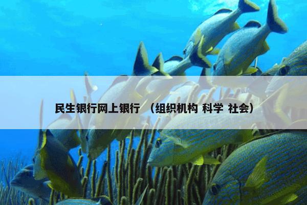 民生银行网上银行 （组织机构 科学 社会）