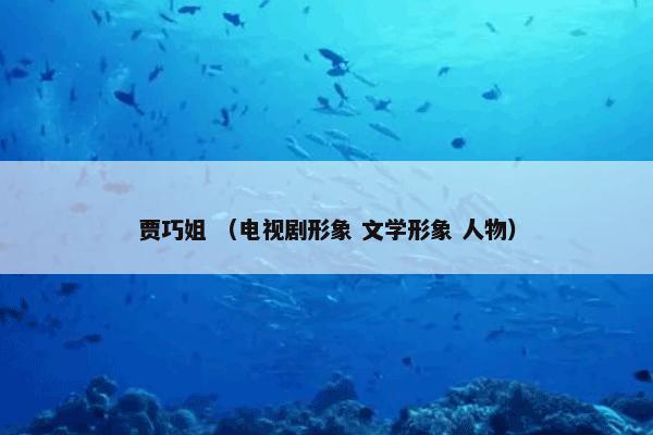 贾巧姐 （电视剧形象 文学形象 人物）