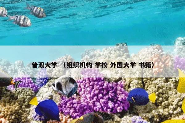 胃液反流 （科学 疾病 学科）