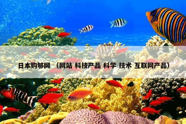 昌都 （地理 行政区划 中国市县 城市）