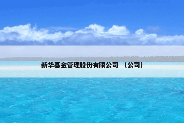 新华基金管理股份有限公司 （公司）