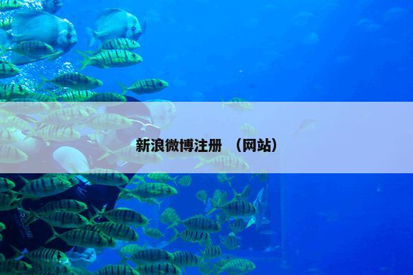 新浪微博注册 （网站）