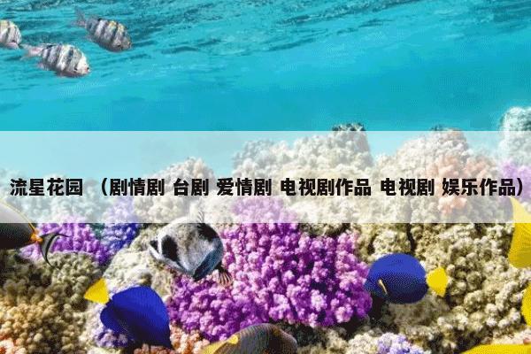 流星花园 （剧情剧 台剧 爱情剧 电视剧作品 电视剧 娱乐作品）