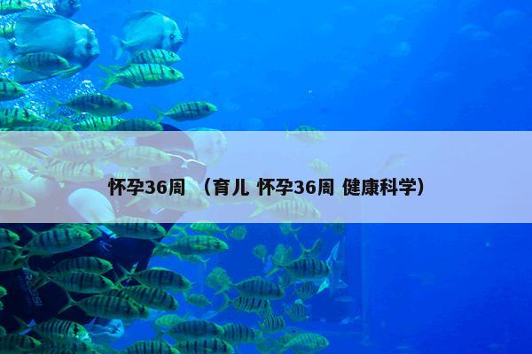 杭州极地海洋公园 （景观景点 旅游 公园）