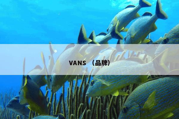 VANS （品牌）