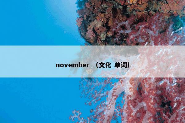 november （文化 单词）