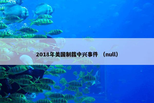 2018年美国制裁中兴事件 （null）