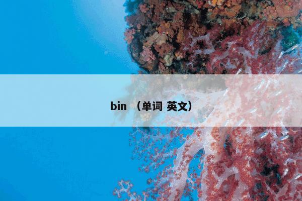 bin （单词 英文）